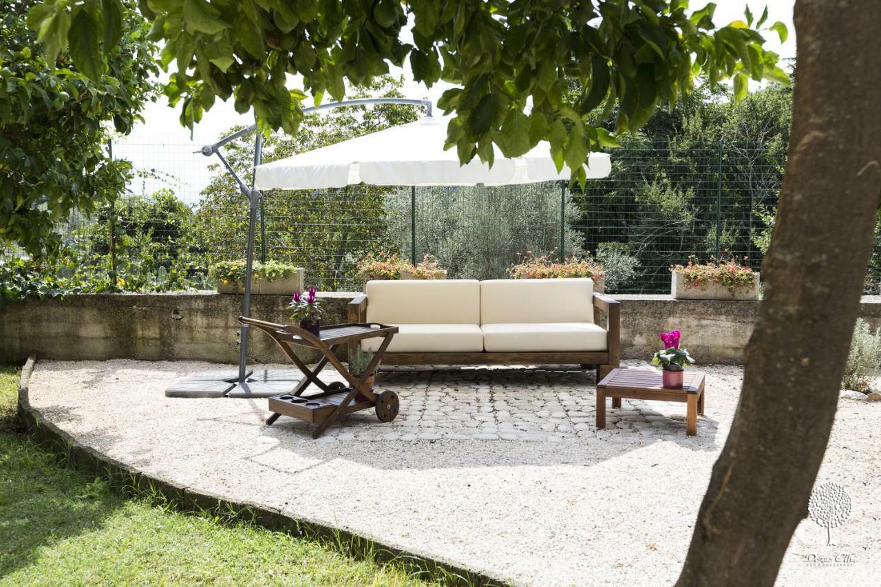 Domus Citri Bed and Breakfast Caserta Exteriör bild