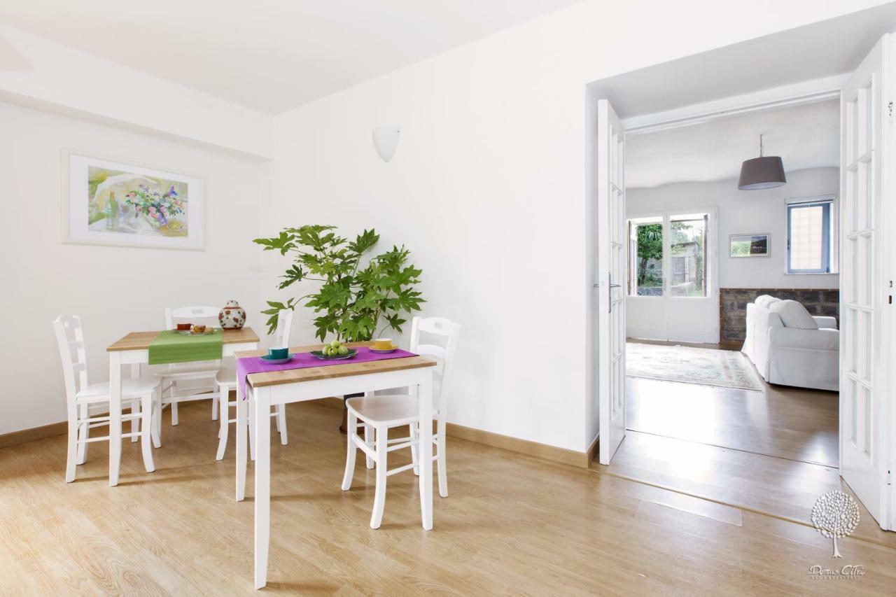 Domus Citri Bed and Breakfast Caserta Exteriör bild